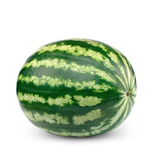 SANDIA ENTERA